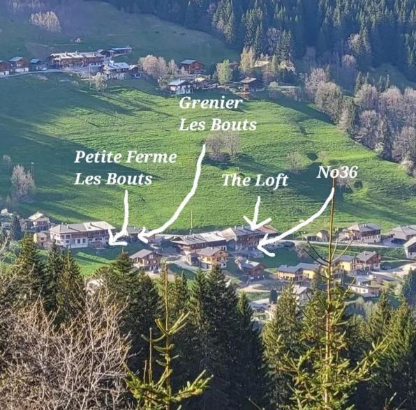 'Petite Ferme Les Bouts' Apt, sleeps 6, Nr Morzine La Cote d'Arbroz Exterior foto